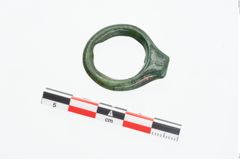 Foto von Bronzering (NHMW-PRAE-025962)